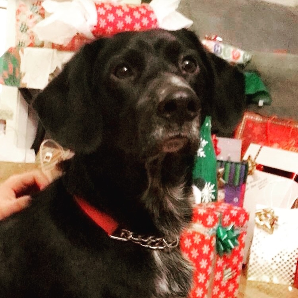 Meet your Posher, Adela